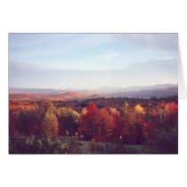 "Sun catches the treetops" cards
