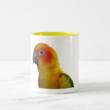 Sun Conure 11oz Mugs