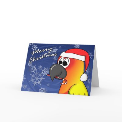 Sun Conure Christmas Card by MenagerieMayhem