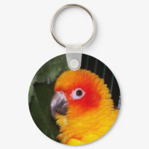 Sun Conure keychains