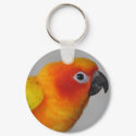Sun Conure Keychain by mavimet Sun Conure Keychain