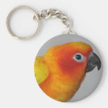Sun Conure Keychain