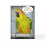 Sun Conure Love Card