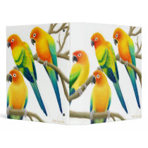 Sun Conure Parrots Avery Binder