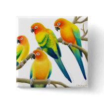 Sun Conure Parrots Pin buttons by twopurringcats Sun Conure Parrots Pin buttons