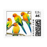 Sun Conure Parrots Postage postage