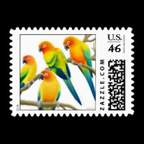 Sun Conure Parrots Postage postage