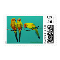 Sun Conure postage