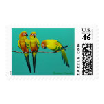 Sun Conure Stamp