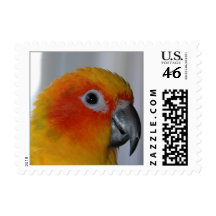 Sun Conure (Small) Postage Stamps