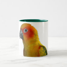 Sun Conure taza de 15 onzas