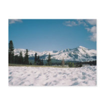 SUN CUPS postcards