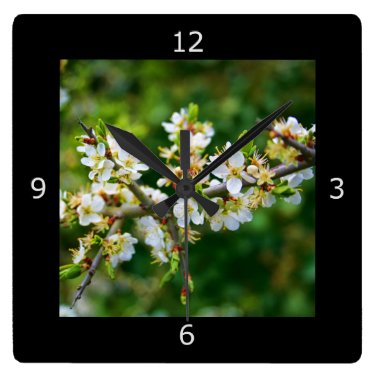 Sun-Dappled Spring Hawthorn Wall Clock
