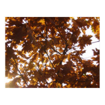 Sun Diamond on Fall Leaves posters by stardustdeep Sun Diamond on Fall Leaves posters