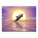 Sun Dolphin posters by Peerdrops Sun Dolphin posters