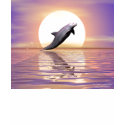 Sun Dolphin t-shirts by Peerdrops Sun Dolphin t-shirts