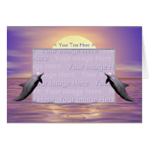 Sun Dolphins Cards