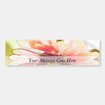 Sun Drenched Gaillardia Flowers Bumper Sticker