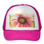 Sun Drenched Gaillardia Flowers Trucker Hats