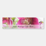 Sun Drenched Hellebore Flower Bumper Sticker