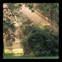 SUN DUST posters