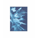 sun exposure "photograph" of leaves, greenery t-shirts