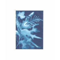sun exposure "photograph" of leaves, greenery t-shirts by Laughingferret sun exposure "photograph" of leaves, greenery t-shirts