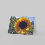 SUN flower cards