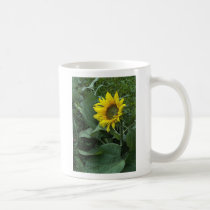 Sun flower mugs