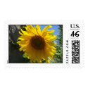 Sun Flower postage