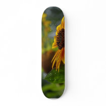 Sun Flower skateboards by lifesphere Sun Flower skateboards