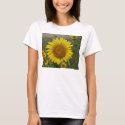 sun flower t-shirts
