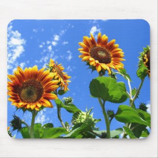 Sun Flowers 2 mousepad