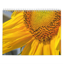 Sun Flowers Wall Calendar