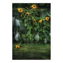 Sun Flowers - Somebody help him posters by suburbanscenes Sun Flowers - Somebody help him posters