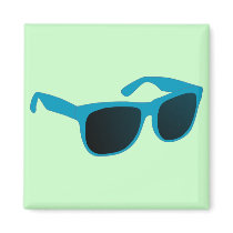 sun glasses magnets