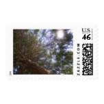 Sun in the Forrest stamps