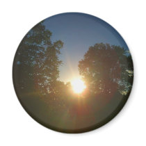 sun in the trees magnet by darling_designs sun in the trees magnet