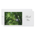 Sun in the Trees - Thank You photo cards by artberry Sun in the Trees - Thank You photo cards