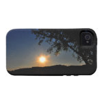 Sun is still shining vibe iPhone 4 cases