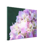 Sun-Kissed l Pink Hydrangea Photography Gallery Wrap Canvas