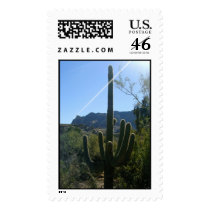 Sun kissed saguaro postage by moxieann Sun kissed saguaro postage