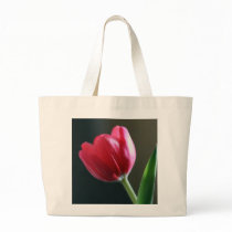Sun Kissed Tulip Bag bags