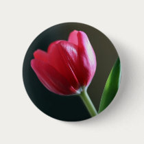 Sun Kissed Tulip Button by naturespaintbox Sun Kissed Tulip Button