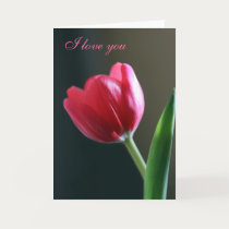 Sun Kissed Tulip - I Love You Card by naturespaintbox Sun Kissed Tulip - I Love You Card
