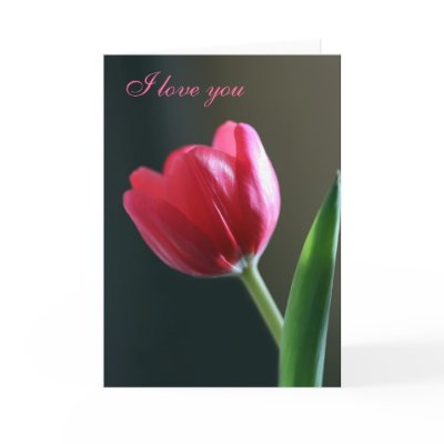 Sun Kissed Tulip  - I Love You Card by naturespaintbox