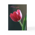 Sun Kissed Tulip  - I Love You Card