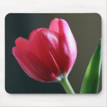 Sun Kissed Tulip Mousepad by naturespaintbox Sun Kissed Tulip Mousepad