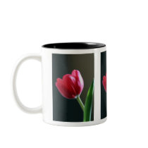 Sun Kissed Tulip Mug mugs