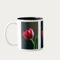 Sun Kissed Tulip Mug